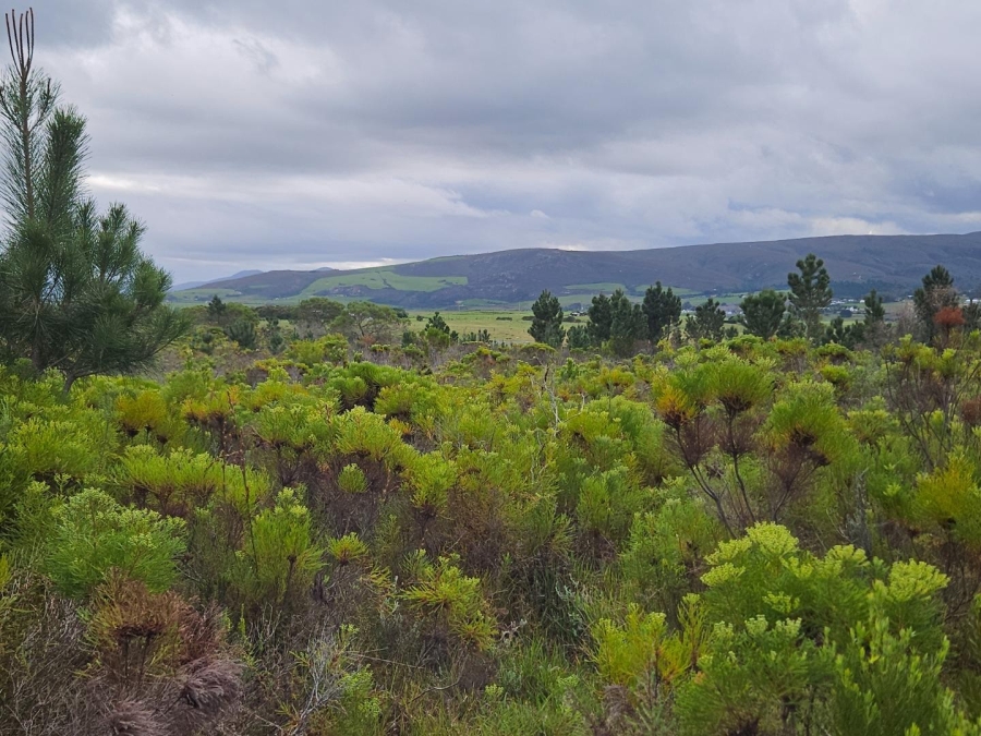 2 Bedroom Property for Sale in Baardskeerdersbos Western Cape